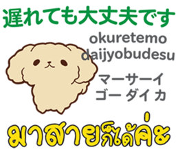 18522009