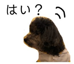 185265595