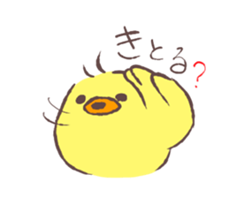 18529119