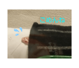 185390058
