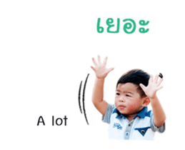 18549825