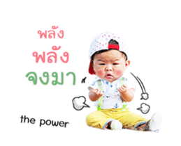 18549826