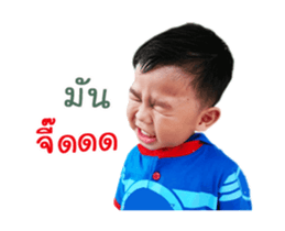 18549828