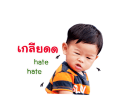 18549829