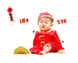 18549833