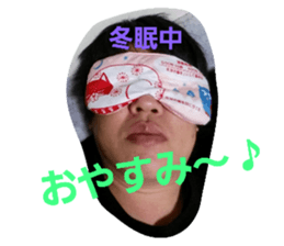 18553582