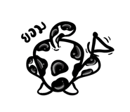 185647970
