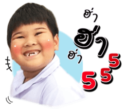18565021