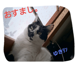 18566255