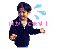 185686223