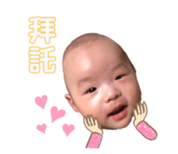 185691558