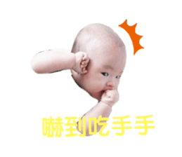 185691561
