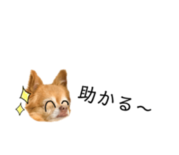 185695860