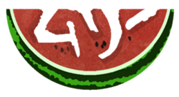 18571555