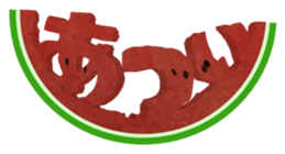18571556