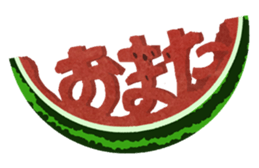 18571559