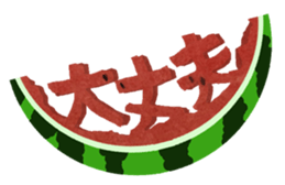 18571565