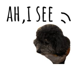 185728768