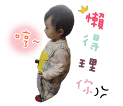 18573071