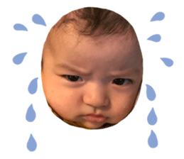 186079761