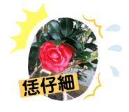 186121759