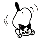 186362429