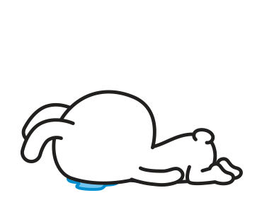 ลายที่ 6