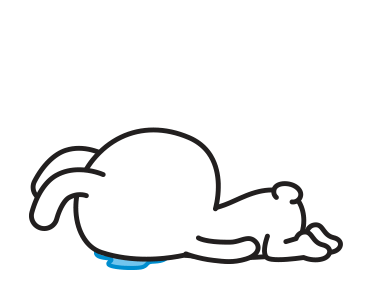 The Bunny Rabbit 2 รูปที่ 6