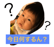 18641846