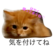 18679962