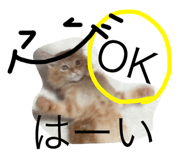 18679966