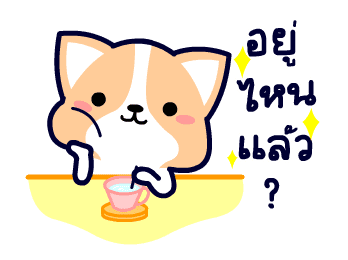 คอร์กี้ เจ้าตูบขาสั้น รูปที่ 7