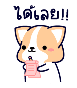 คอร์กี้ เจ้าตูบขาสั้น รูปที่ 8