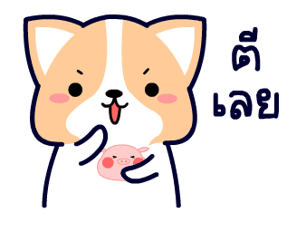 คอร์กี้ เจ้าตูบขาสั้น รูปที่ 15