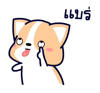 คอร์กี้ เจ้าตูบขาสั้น รูปที่ 16