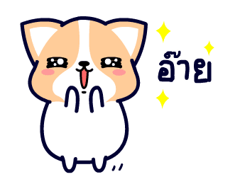 คอร์กี้ เจ้าตูบขาสั้น รูปที่ 17