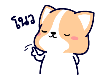 คอร์กี้ เจ้าตูบขาสั้น รูปที่ 20