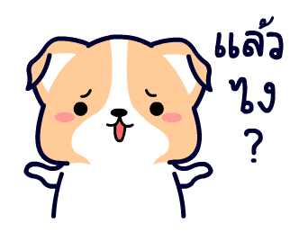 คอร์กี้ เจ้าตูบขาสั้น รูปที่ 23