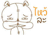 18695588