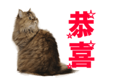 18704976