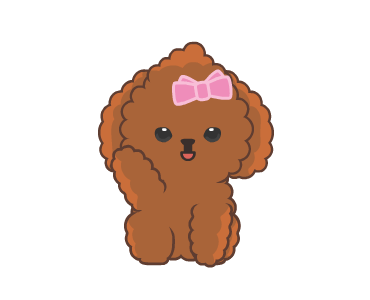 Bella The Princess Poodle รูปที่ 1