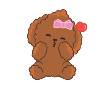 Bella The Princess Poodle รูปที่ 2