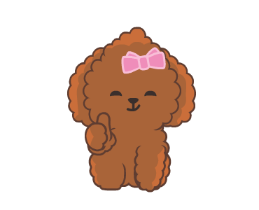 Bella The Princess Poodle รูปที่ 3