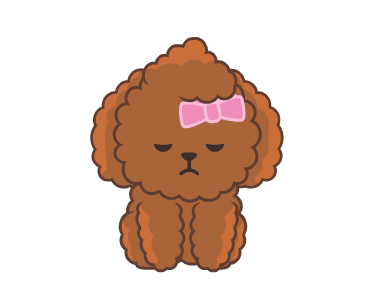 Bella The Princess Poodle รูปที่ 4