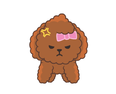 Bella The Princess Poodle รูปที่ 5