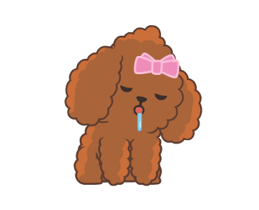 ลายที่ 6