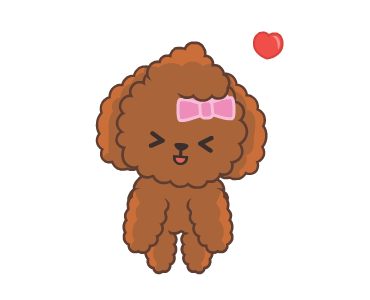 Bella The Princess Poodle รูปที่ 7