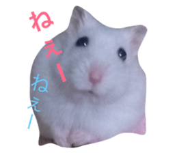 18715163