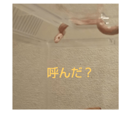 187279737