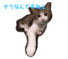 187302951